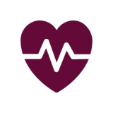 Heart Rate Monitor